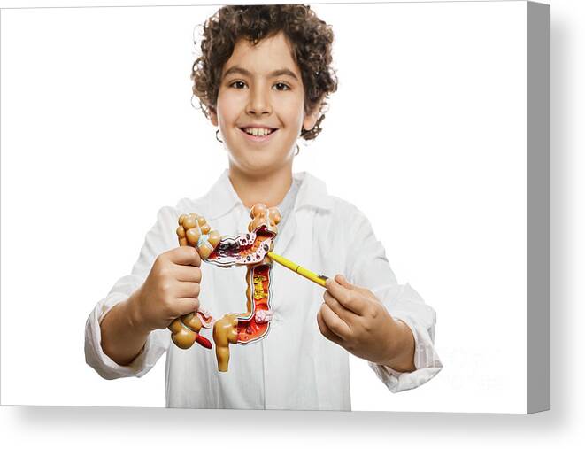 Boy Canvas Print featuring the photograph Future Doctor #54 by Peakstock / Science Photo Library