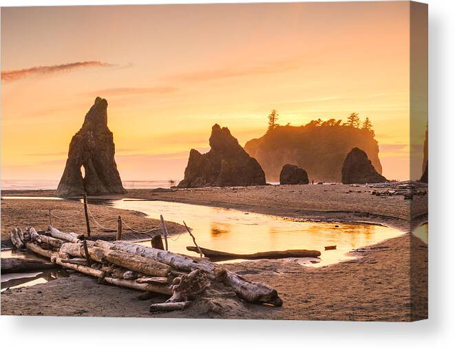 Landscape Canvas Print featuring the photograph Olympic National Park, Washington, Usa #6 by Sean Pavone