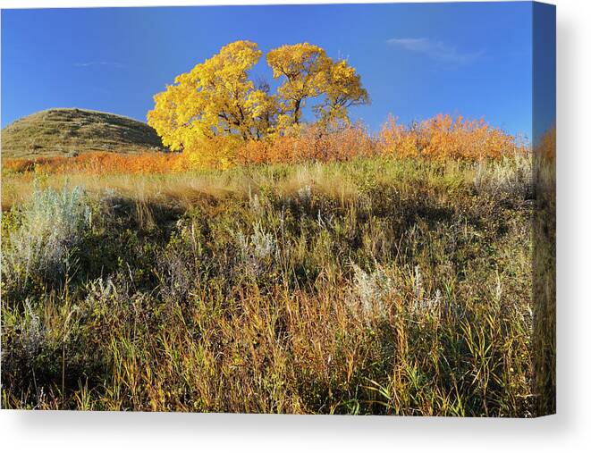 Butte Canvas Print featuring the photograph Canada, Saskatchewan, Grasslands #7 by Jaynes Gallery