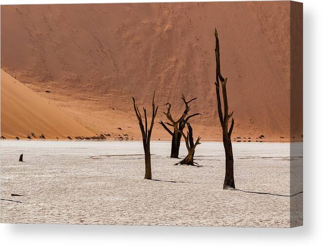 Artistic Canvas Print featuring the photograph Deadvlei #7 by Mache Del Campo