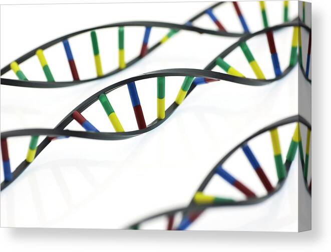 Education Canvas Print featuring the photograph Dna Molecules #7 by Lawrence Lawry