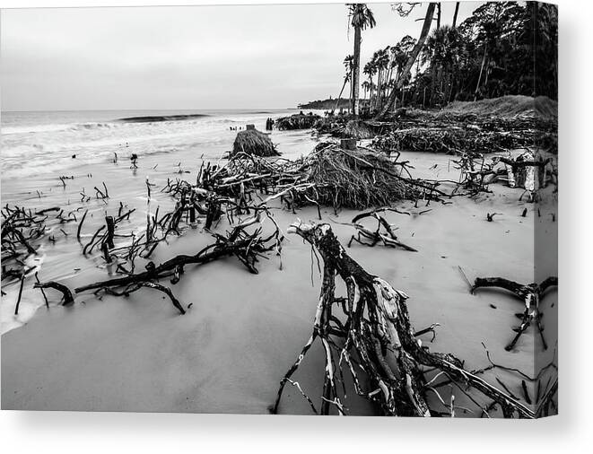 Beach Canvas Print featuring the photograph Hunting Island South Carolina Beach Scenes #8 by Alex Grichenko