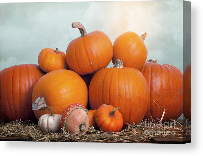 Pumpkin Canvas Print featuring the photograph A Collection Of Pumpkins Against The Sky by Ethiriel Photography