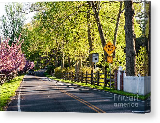 Landscape Canvas Print featuring the photograph A Country Lane on a Springtime Afternoon by Steve Ember