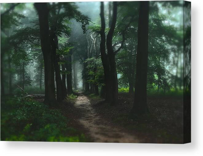 #trees#foggy#weather#beeches#landscape#green#ferns#forest#lane#old#decay Canvas Print featuring the photograph A Foggy Day by Hilda Van Der Lee