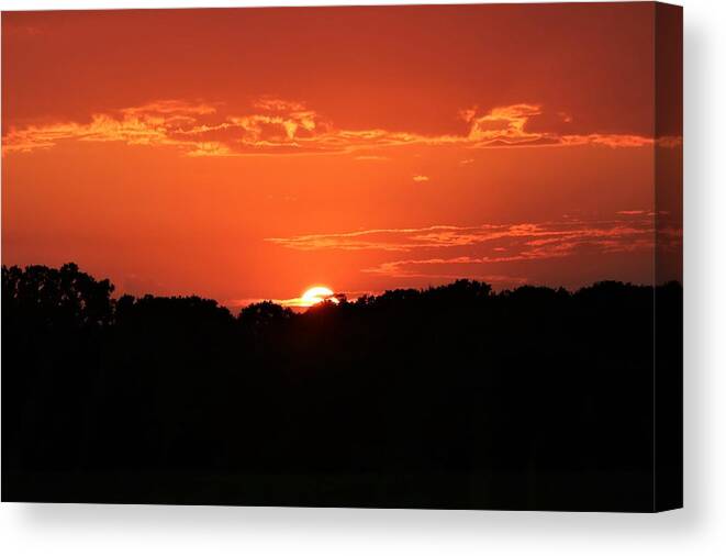 Nature Canvas Print featuring the photograph A Golden Sunset by Sheila Brown