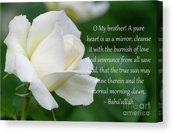 Art Canvas Print featuring the photograph A Pure Heart, No. 6 by Baha'i Writings As Art