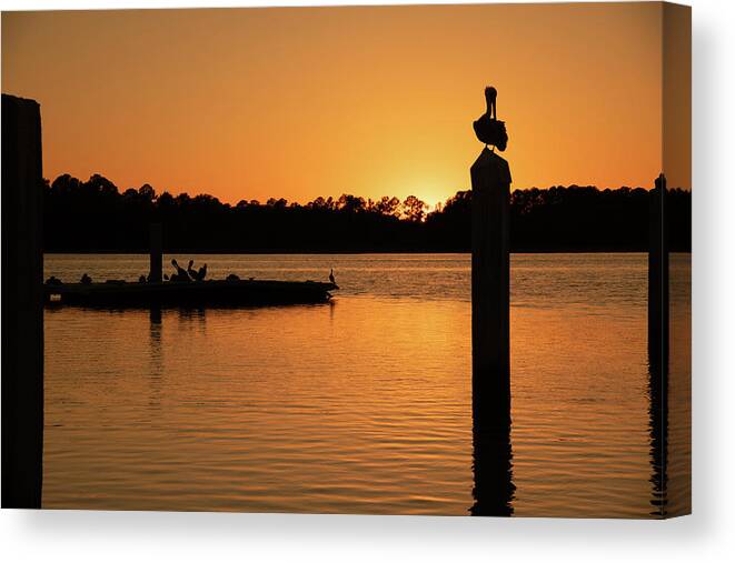 Sunset Canvas Print featuring the photograph A Sunset For The Birds at Skull Creek Marina by Dennis Schmidt