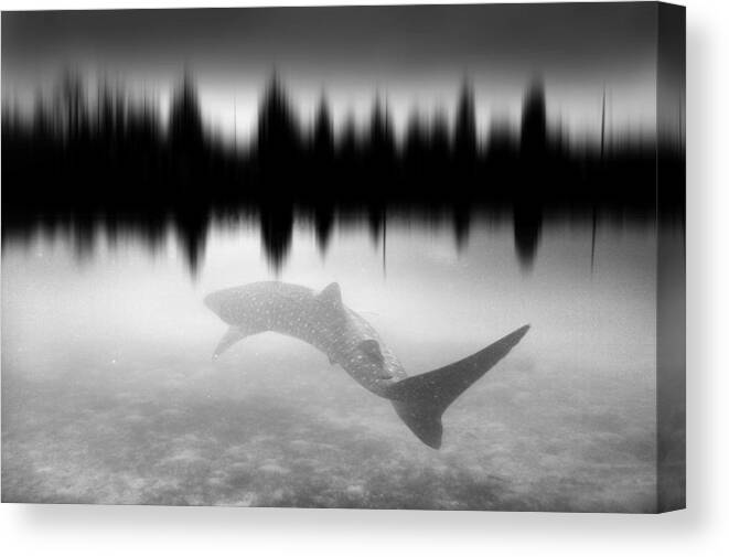 Fantasy Canvas Print featuring the photograph A Whale In The River? In The Future Who Knows by Francesca Ferrari