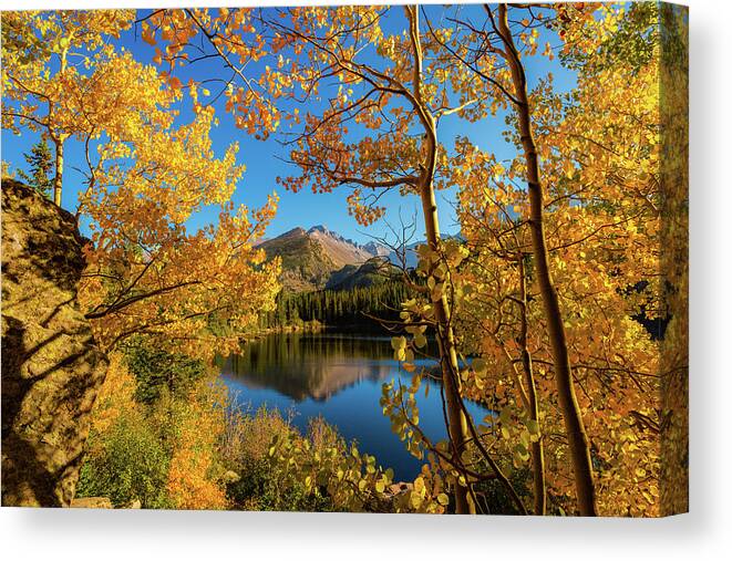 Colorado Canvas Print featuring the photograph A Window Through Autumn by Gary Kochel