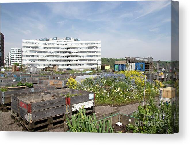 Aarhus OE- and urban the Seafront Aarhus Denmar Canvas / Canvas Art by Mejer - Pixels