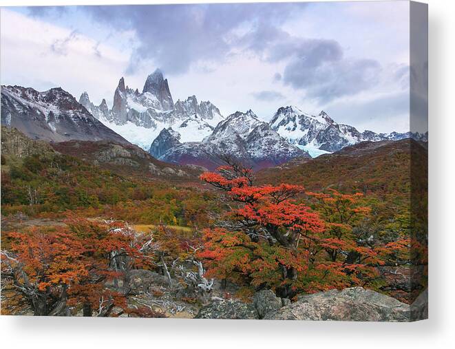 Patagonia Canvas Print featuring the photograph Acun by Ryan Weddle