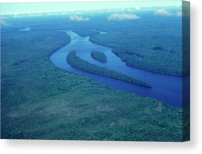 Tropical Rainforest Canvas Print featuring the photograph Aerial Shot Of The Amazon River by Brasil2