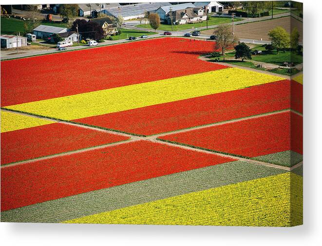 Scenics Canvas Print featuring the photograph Aerial View Of Rows Of Yellow And Red by Pete Saloutos