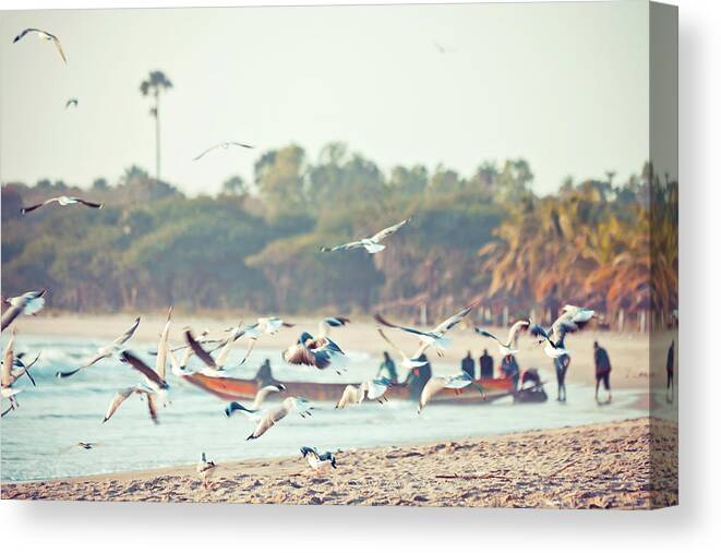Outdoors Canvas Print featuring the photograph African Fishing Boat And Seabirds by Peeterv
