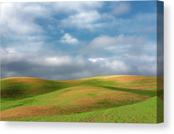 Steptoe Canvas Print featuring the photograph After the Showers by Todd Klassy