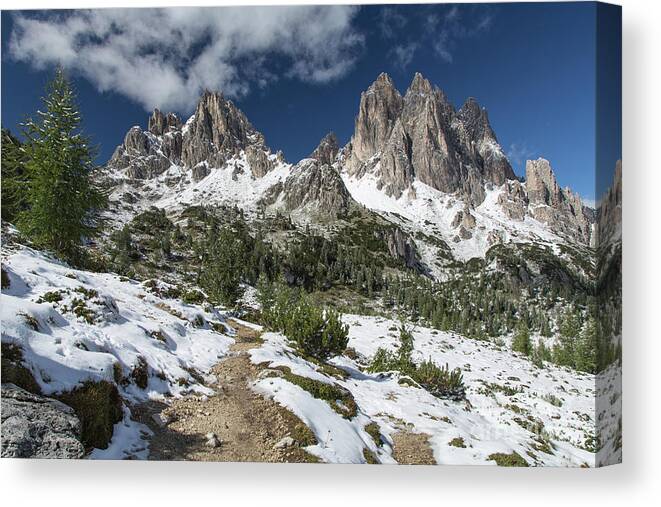 Trail Canvas Print featuring the photograph Alpine Hiking Trail by Eva Lechner