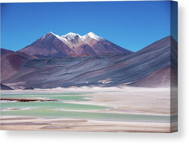 Atacama Canvas Print featuring the photograph Altiplano View by Mark Hunter