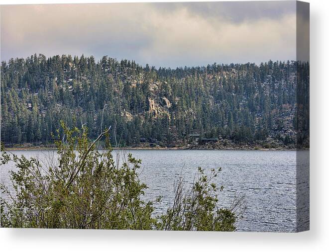 Top Canvas Print featuring the photograph Among The Rocks And Trees by Paulette B Wright
