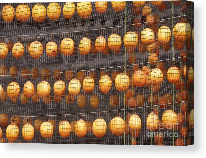 Image Canvas Print featuring the photograph An Image Of Dried Persimmon by Kpg payless