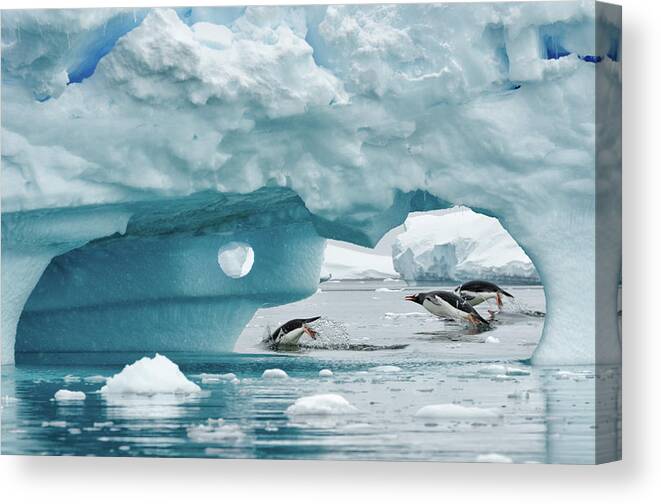 Iceberg Canvas Print featuring the photograph Antarctica by Kyle W. Anstey