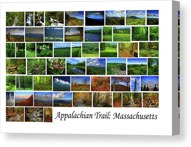 Appalachian Trail Massachusetts Canvas Print featuring the photograph Appalachian Trail Massachusetts by Raymond Salani III