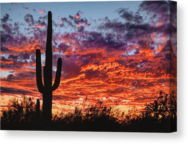 Arizona Sunset Canvas Print featuring the photograph Arizona Sunset by Chance Kafka