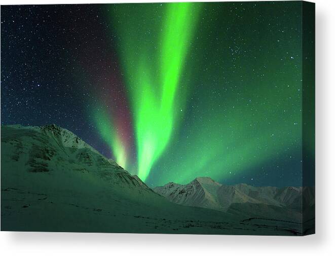 Interior Alaska Canvas Print featuring the photograph Aurora Above Alaska by Noppawat Tom Charoensinphon