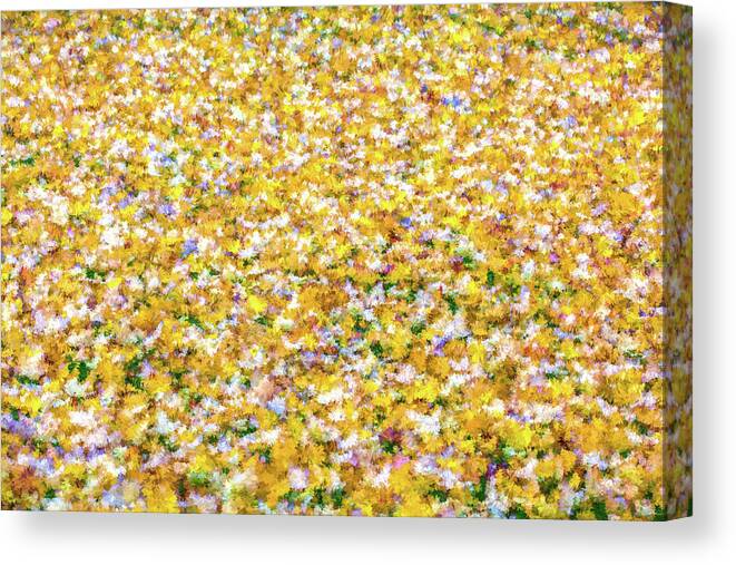 David Letts Canvas Print featuring the photograph Autumn Abstract by David Letts