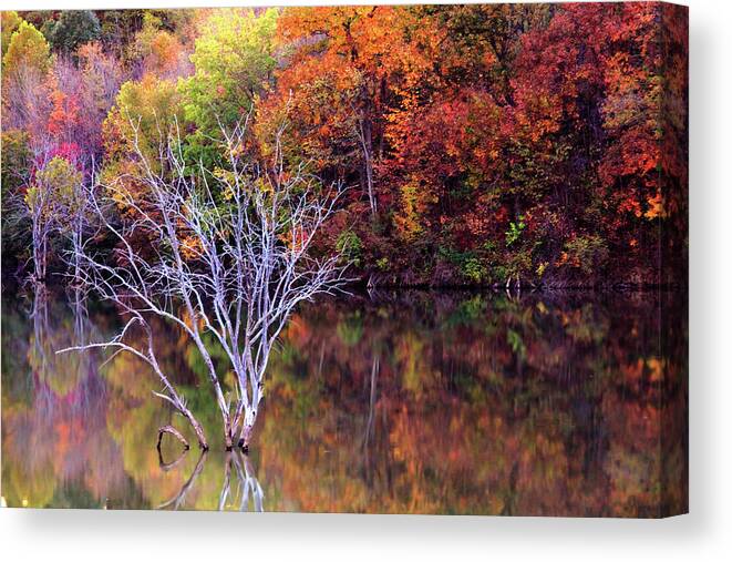 Fall Canvas Print featuring the photograph Autumn at Alum Creek by Angela Murdock