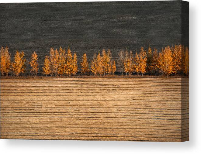 Abstract Canvas Print featuring the photograph Autumn Colors by ??tianqi
