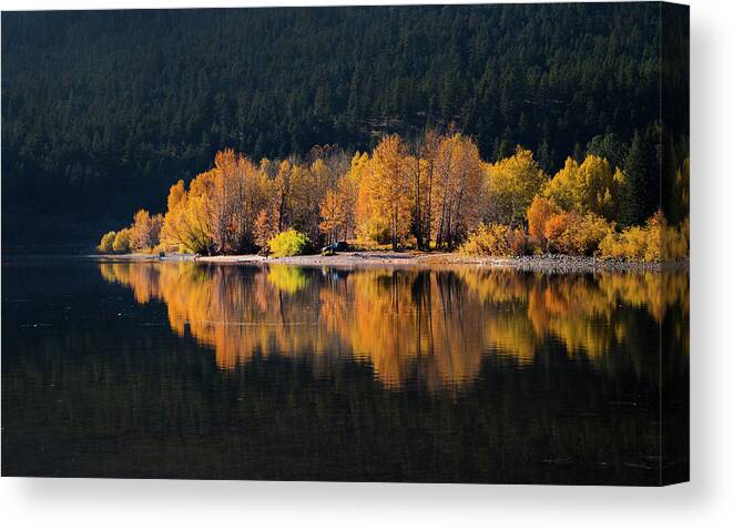 Seasons Canvas Print featuring the photograph Autumn Days by Theresa Tahara
