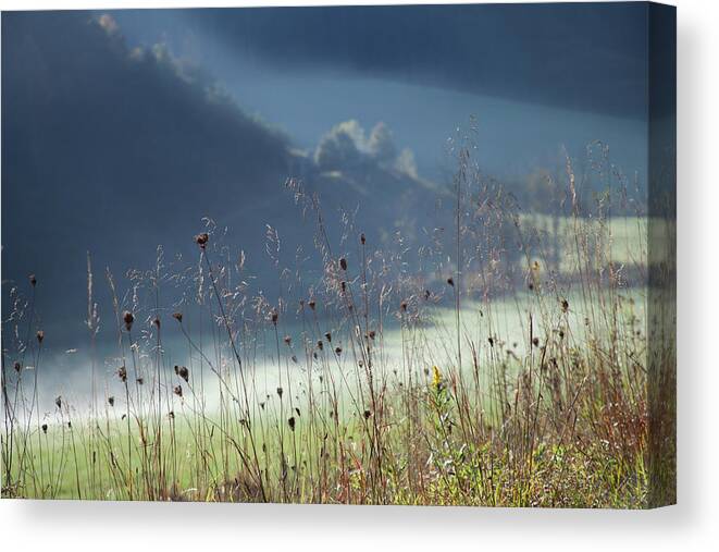 Fall Colors Canvas Print featuring the photograph Autumn Fog in Field Smoky Mountains by David Chasey