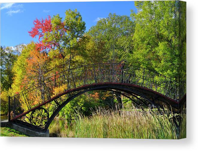 Bridge Canvas Print featuring the photograph Autumn Footbridge by Luke Moore