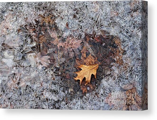 Photography Canvas Print featuring the photograph Autumn Freezing Over by Larry Ricker