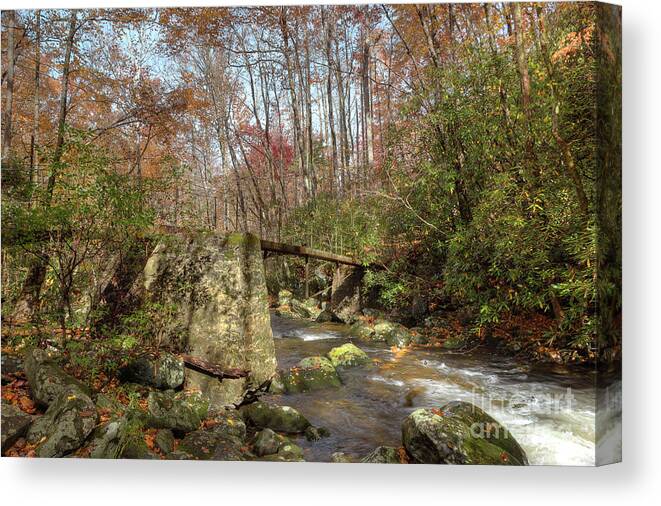 Stream Canvas Print featuring the photograph Autumn Gathering by Mike Eingle