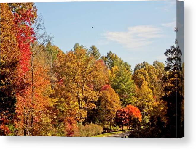 Autumn Canvas Print featuring the photograph Autumn Glow by Allen Nice-Webb