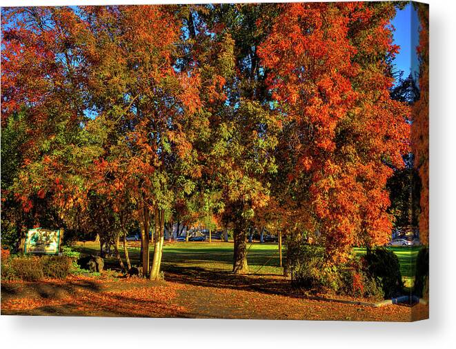 Autumn In Reaney Park Canvas Print featuring the photograph Autumn in Reaney Park by David Patterson