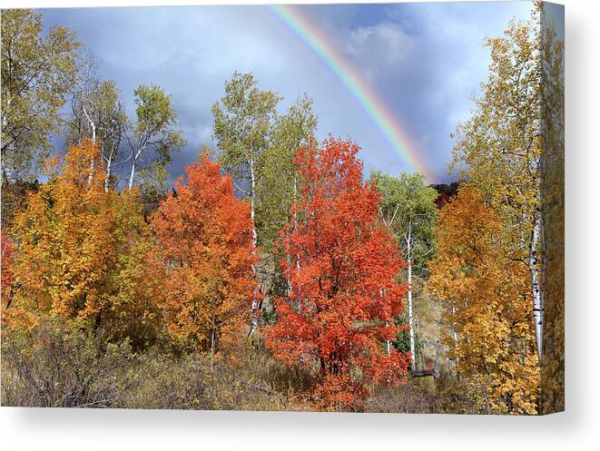 Rainbow Canvas Print featuring the photograph Autumn Rainbow by Kathleen Bishop