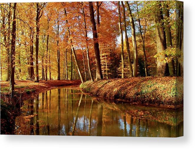 Scenics Canvas Print featuring the photograph Autumn Reflections by Bob Van Den Berg Photography