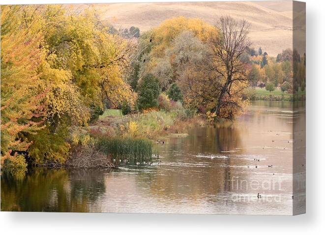 Soft Colors Canvas Print featuring the photograph Autumn River Retreat by Carol Groenen