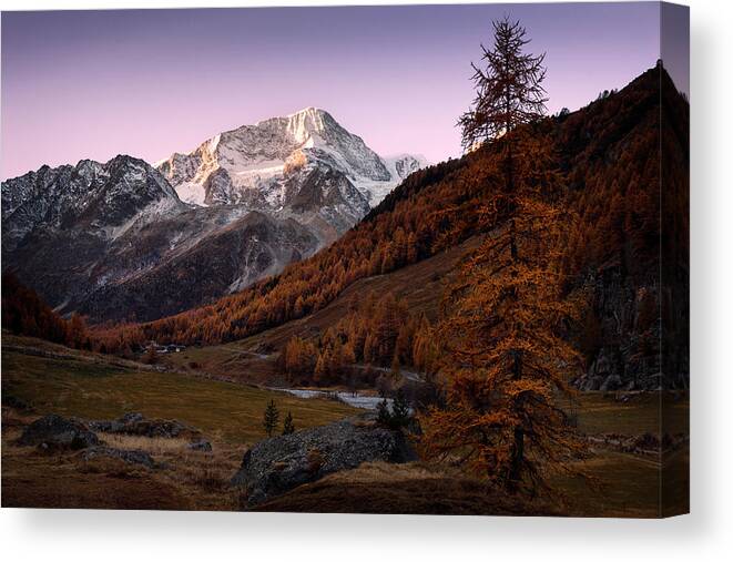 Lake Canvas Print featuring the photograph Awakening by Dominique Dubied