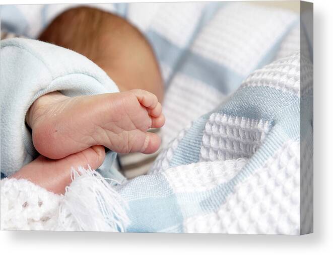 Caucasian Ethnicity Canvas Print featuring the photograph Babys Feet And Toes Showing Heel Prick by Tirc83