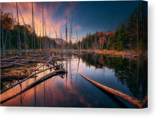Driftwood Canvas Print featuring the photograph Back To Nature by Ben.c.l