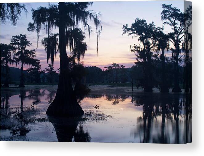 Scenics Canvas Print featuring the photograph Bald Cypress Trees In Swamp At Sunrise by Kathy Van Torne