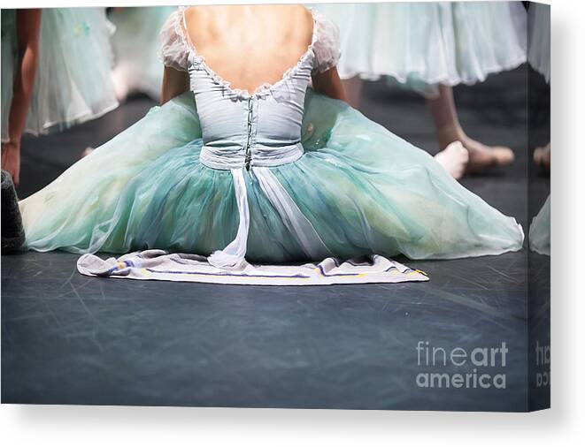 Beauty Canvas Print featuring the photograph Ballerinas In The Movement by Melnikof