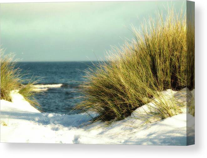 Scenics Canvas Print featuring the photograph Baltic Christmas by Siegfried Haasch