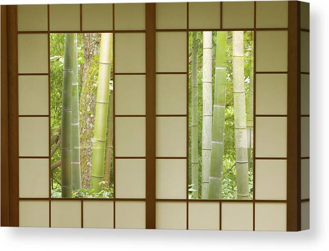 Bamboo Canvas Print featuring the photograph Bamboo As Viewed Through Tea House by Art Wolfe