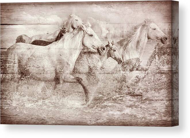 Animals Canvas Print featuring the digital art Band of Brothers in Sepia by Debra and Dave Vanderlaan