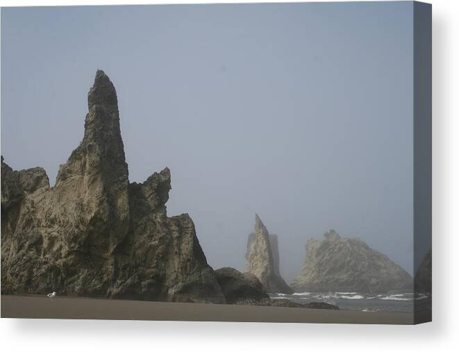 Dylan Punke Canvas Print featuring the photograph Bandon Rocks Faint by Dylan Punke